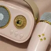 Pink portable wireless karaoke speaker set with microphone, high-definition sound quality, portable home entertainment device Application Scenario